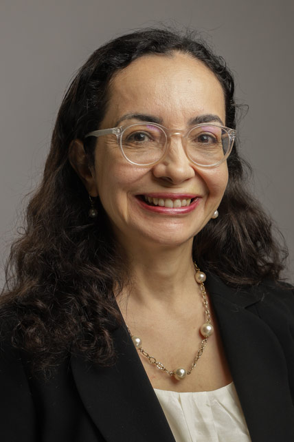 Ayse N. Balas